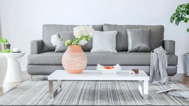 Free minimal living room plants